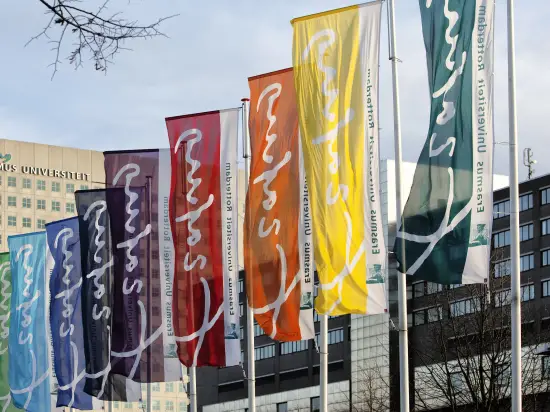 Flags at Woudestein Campus