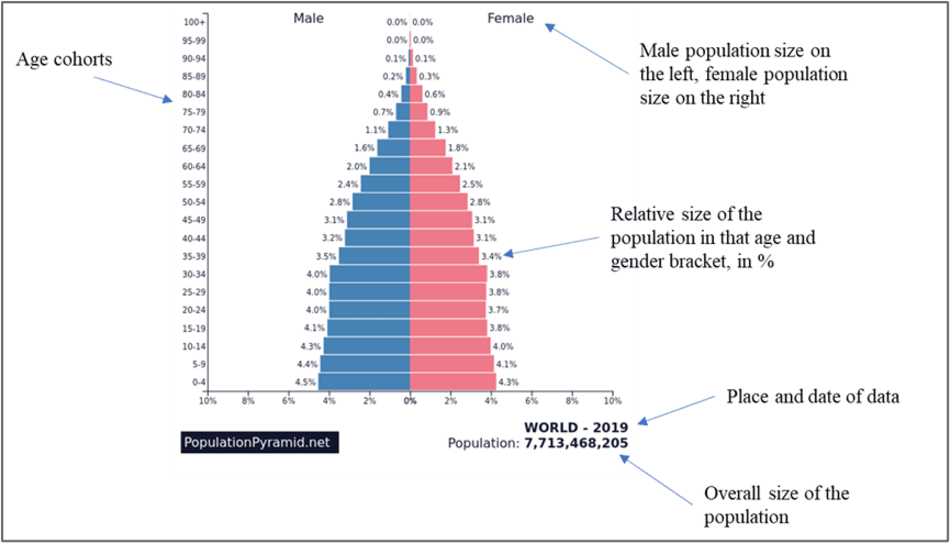 Decoding Visual Puzzles in Population ‘Pyramids’ Erasmus School of