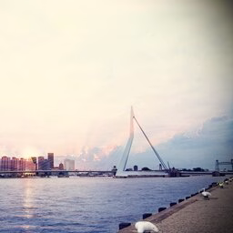 Rotterdam 