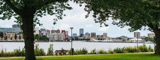 Rotterdam - skyline - groen - duurzaam